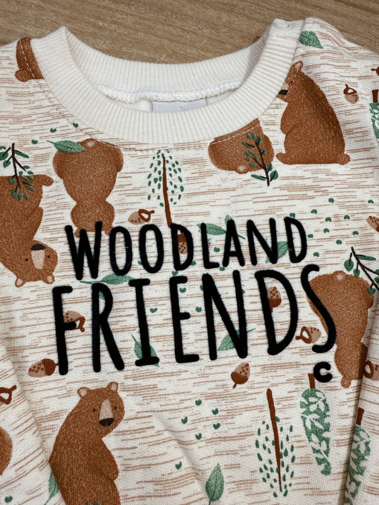 Conjunto Menino Blusão Estampa Flock Em Moletom Flanelado