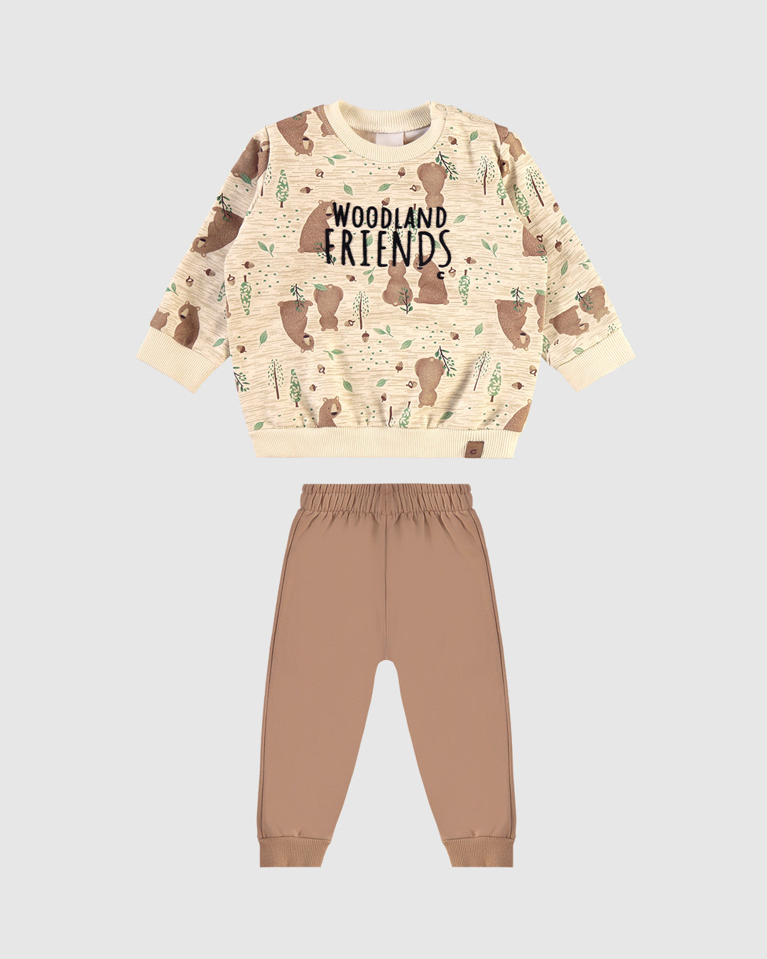 Conjunto Menino Blusão Estampa Flock Em Moletom Flanelado