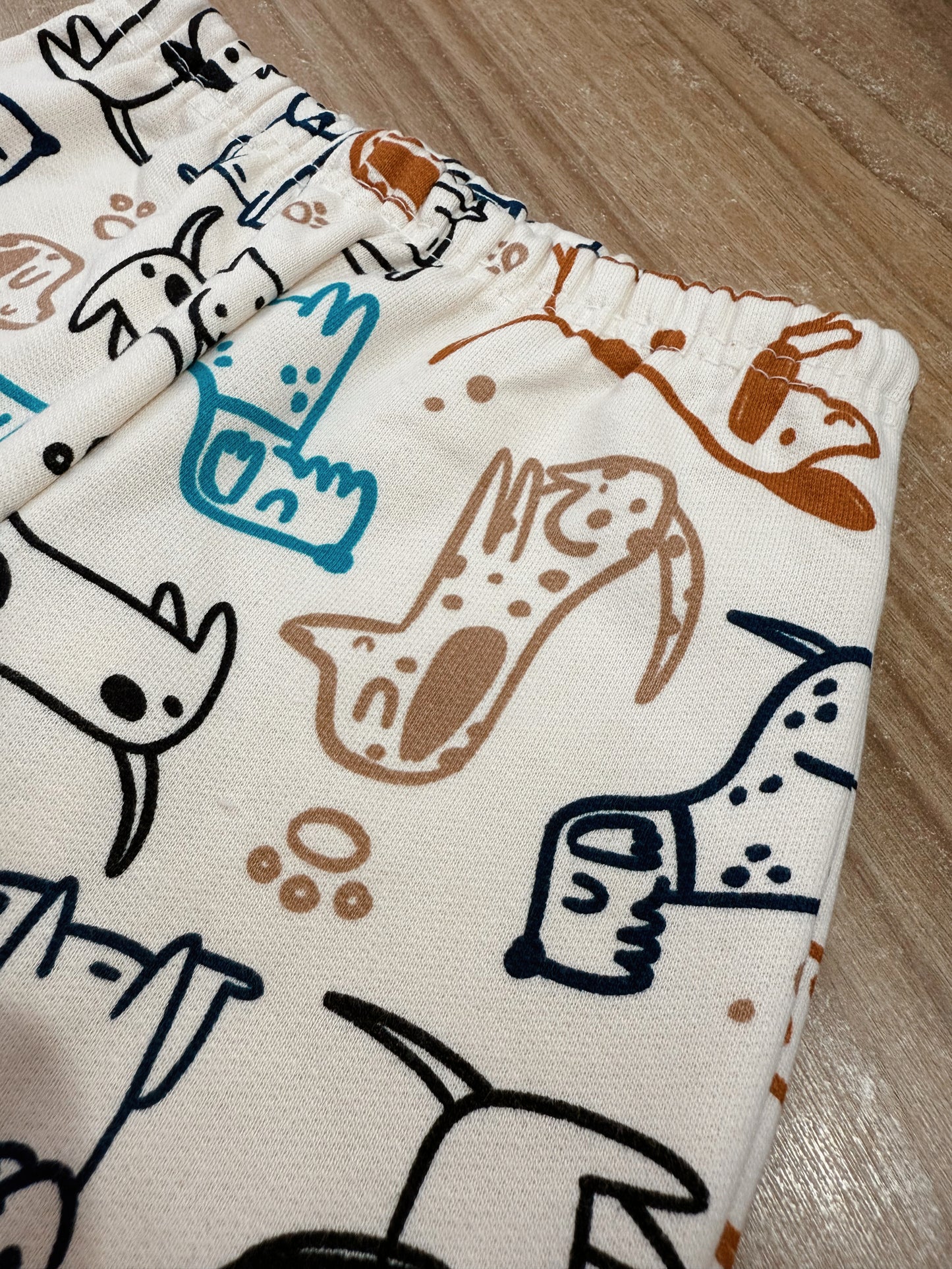 Conjunto Infantil Menino Estampa Cachorros Em Moletom Flanelado