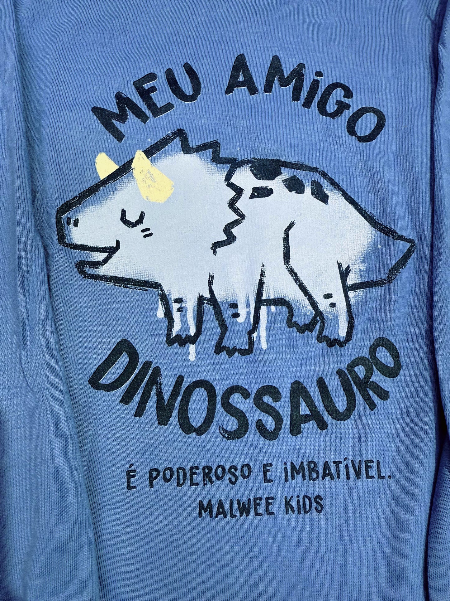 Conjunto Infantil Menino Meu Amigo Dinossauro Em Algodão
