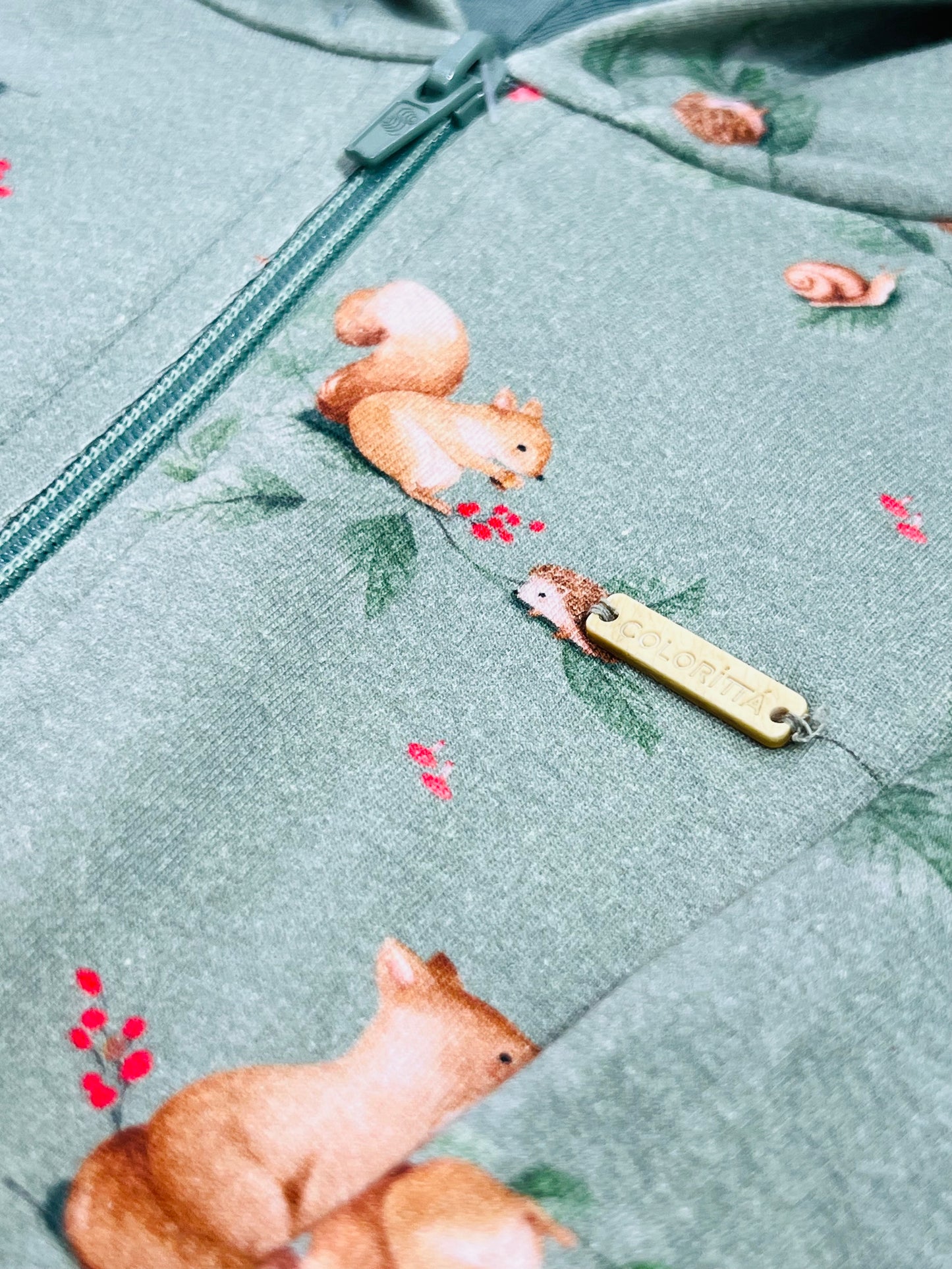 Conjunto Infantil Jaqueta Com Capuz Verde